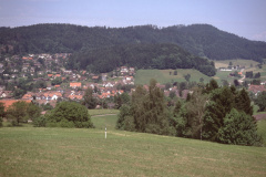 Blick von der Steinweidstr auf das Dorf + Aemet