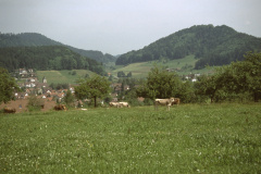 Blick von der Schönau