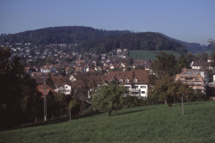 Schönau. Blick auf das Dorf + Bussenthal