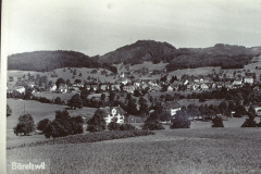 Blick von Süden, Hinterbergstr auf Dorf, Lettenberg + Greifenberg