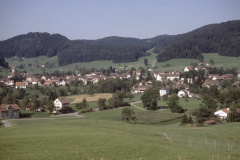 Blick von Steinweid. Von Kirche bis Spörri Fabrik, von Greifenberg bis Jakobsberg
