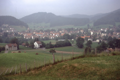 Blick von Steinweid