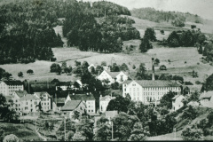 Blick aus SW oberhalb Staatskiesgrube auf Gupf und Spörri-Fabrik