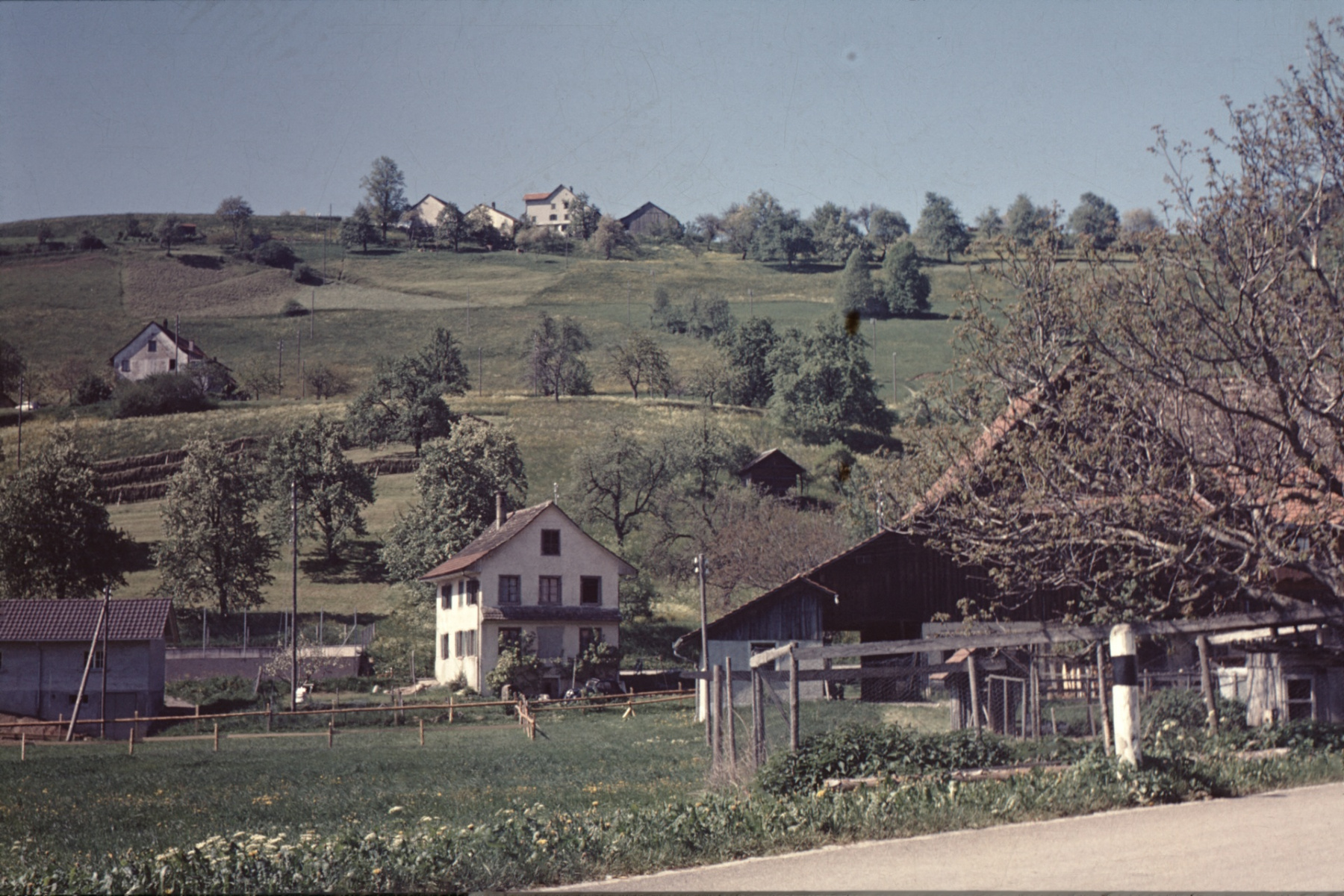 altes Schulhaus, Halde, Allenberg
