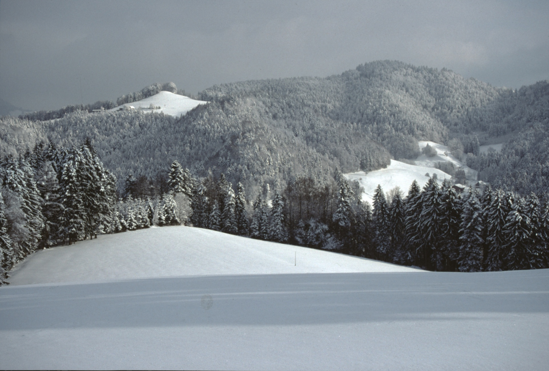 Winterbild vom Jakobsberg (947m) zum Sonnenhof mit Sonnenhof-Güpfel (995m) und zum  Baschlisgipfel (1064m). Im Tal erscheint der Rellsten.