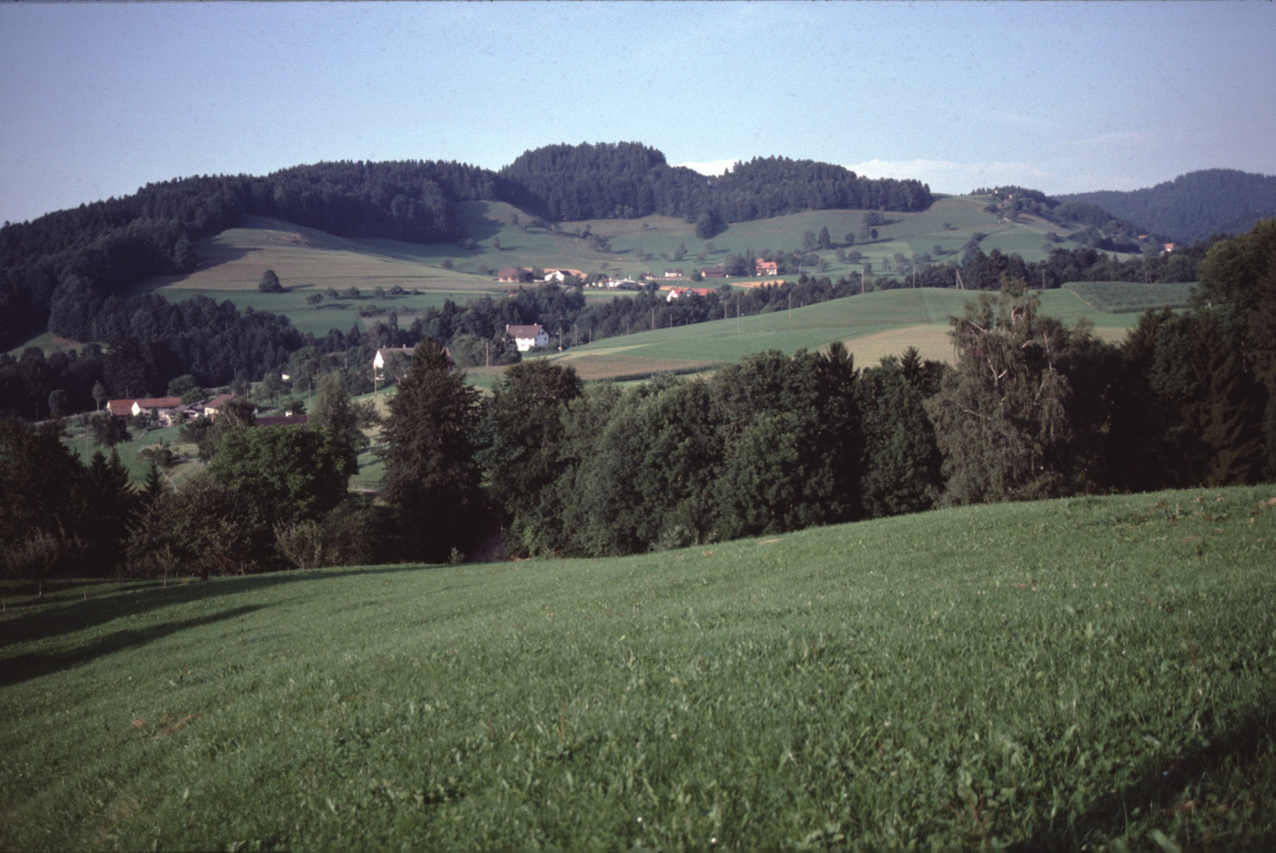 Unterer Tisenwaltsberg. Zelg und Allenberg