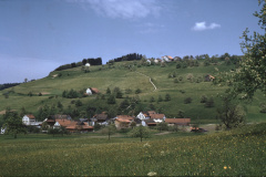 Dörfchen und Allenberg