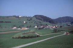 Oberhalb Schulhaus Maiwinkel