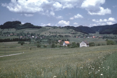 imVG das alte Schulhaus Wappenswil (bis 1959). Links davon Hof Eichschür. imHG Vorder- und Hinterbettswil
