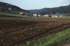 Blick Richtung Bettswil