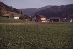 Blick vom Fussballplatz Rtg Bettswil