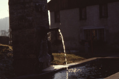 Brunnen vor dem Flarz Brunner, Walder