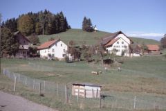 Hinter Allenberg
