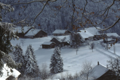 Jakobsberg, Blick auf Häuser Allenberg