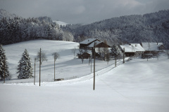 Allenberg
