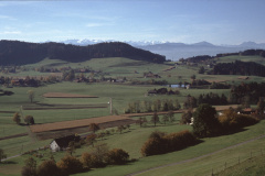 Allenberg. Blick Rtg Tisenwaldsberg, Maiwinkel, Rigi