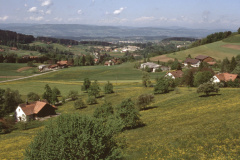 Allenberg. Blick Rtg Zelg, Kiesgrube. imHG Üetliberg