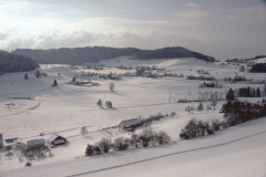 Blick vom Allenberg  Rtg Wappenswil