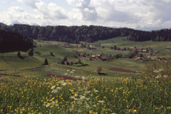 Blick vom Allenberg Rtg Maiwinkel, Wappenswil