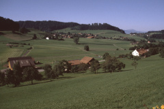 Blick von der Halde Rtg Wappenswil