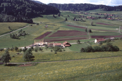 Blick vom Allenberg Rtg Vorderbettswil, Wappenswil. Bau neue Scheune Ernst Meier
