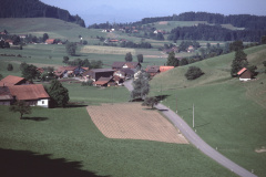 Blick v. Pfännigerbuck Bettswil, Tisenwaltsberg