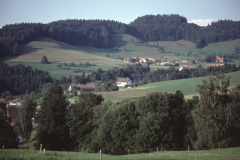 Blick von der Schönau: Sandböhl sowie Untere, Mittlere und Obere Zelg; rechts das Haus auf dem Ried bei Vorderbettswil.