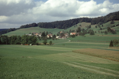 Vorderbettswil