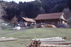 Einzelgehöft ‚Weid‘