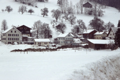 Brandruine