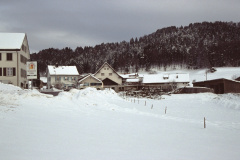 Brandruine