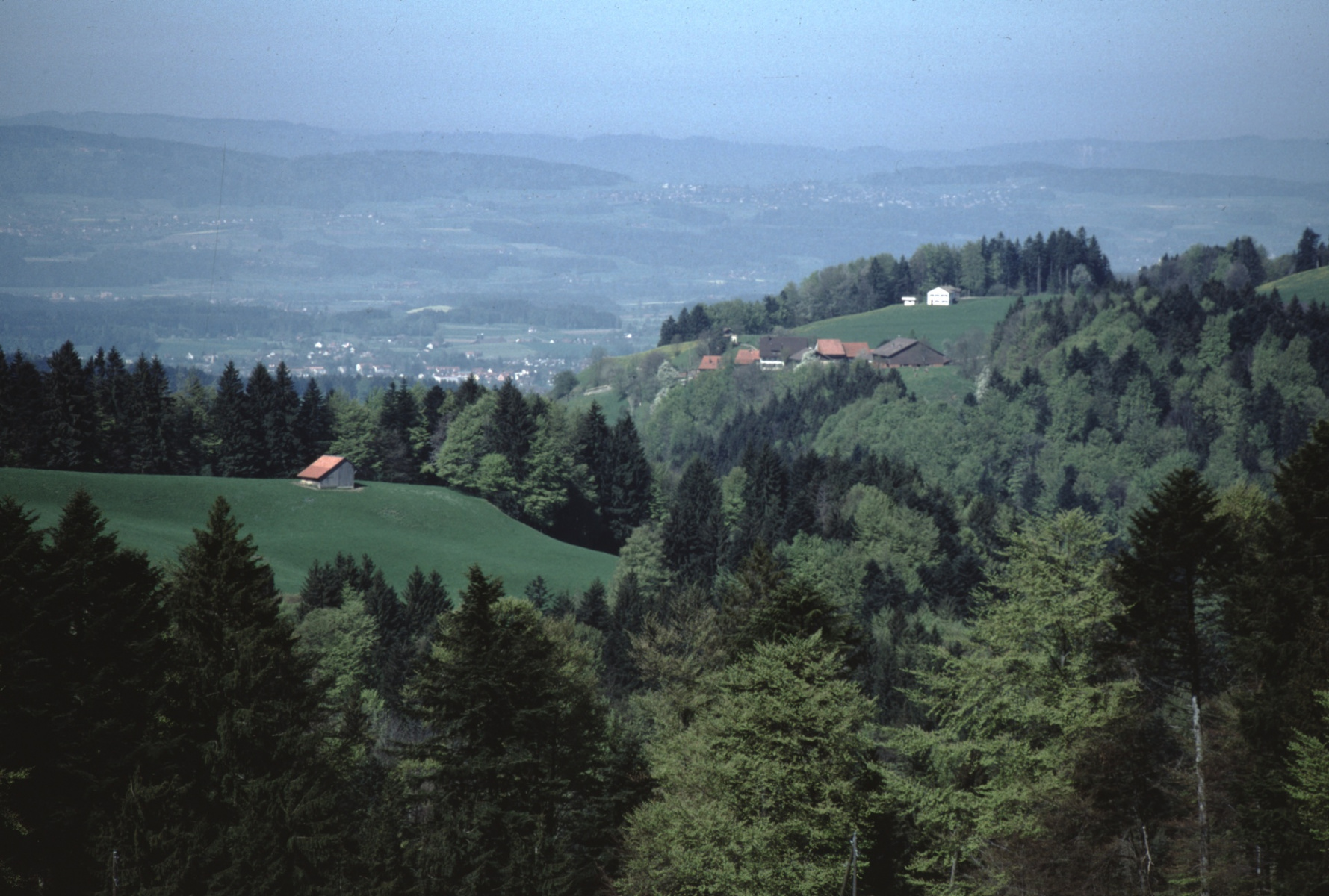 Ghöch Blick, Ghöchweid – Allenberg