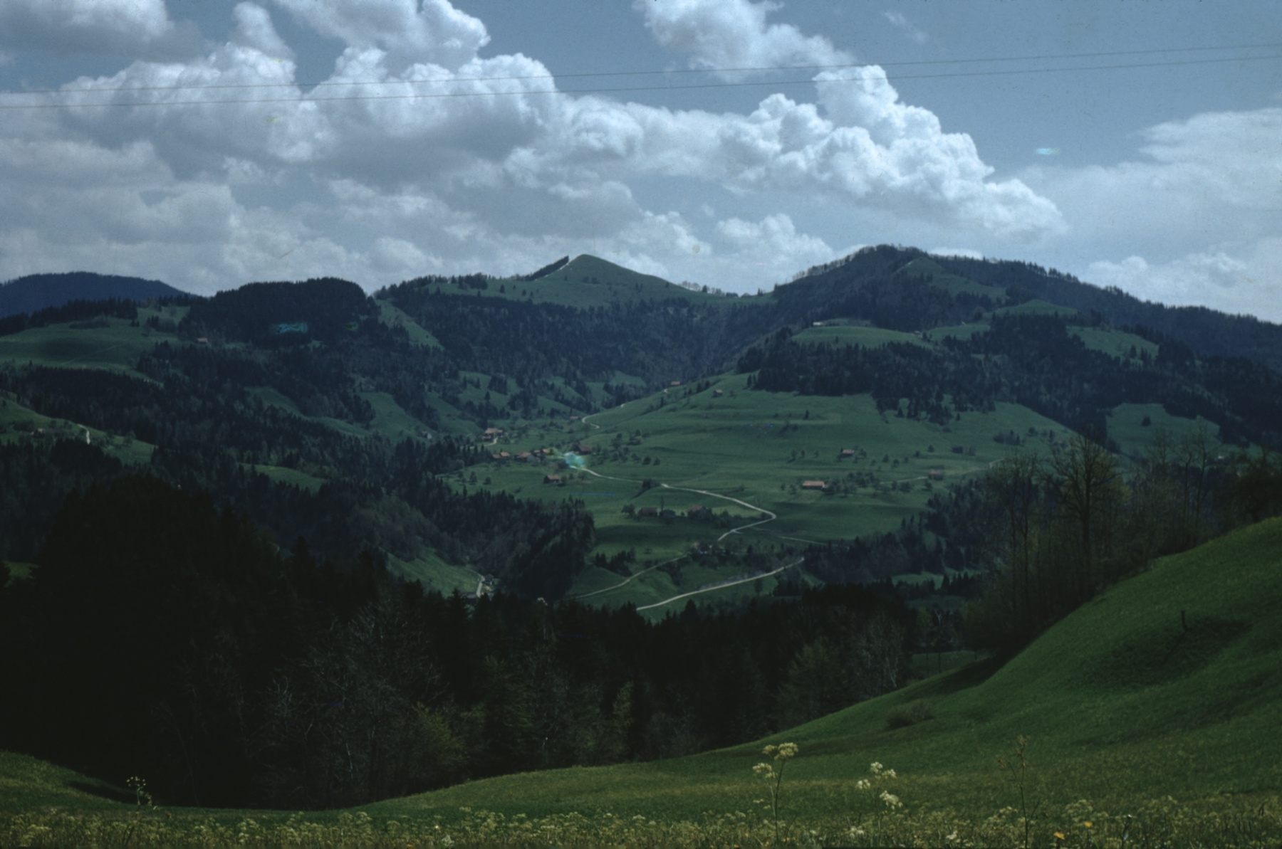 Fehrenwaldsberg, Blick gegen Hüttchopf