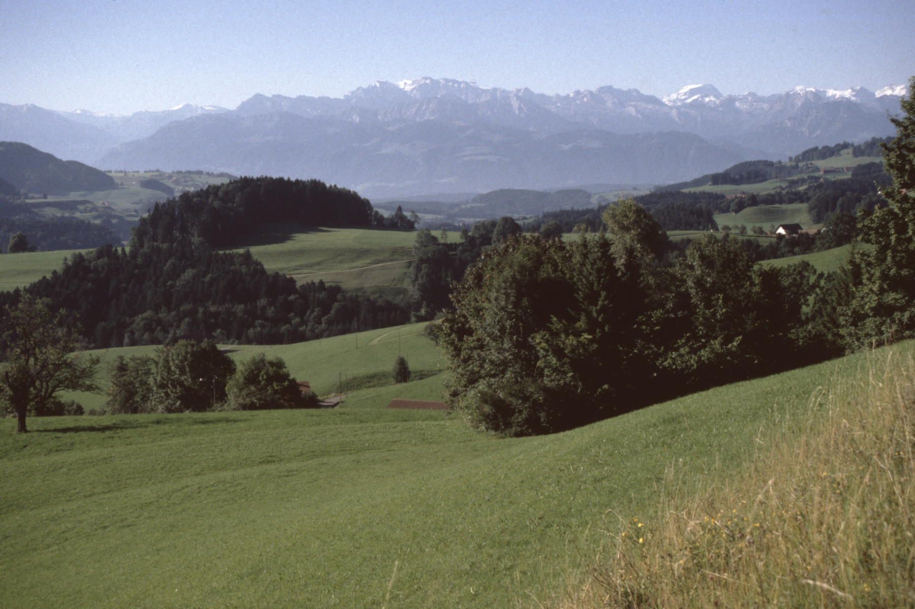 Blick vom Fehrenwaldsberg in die Alpen