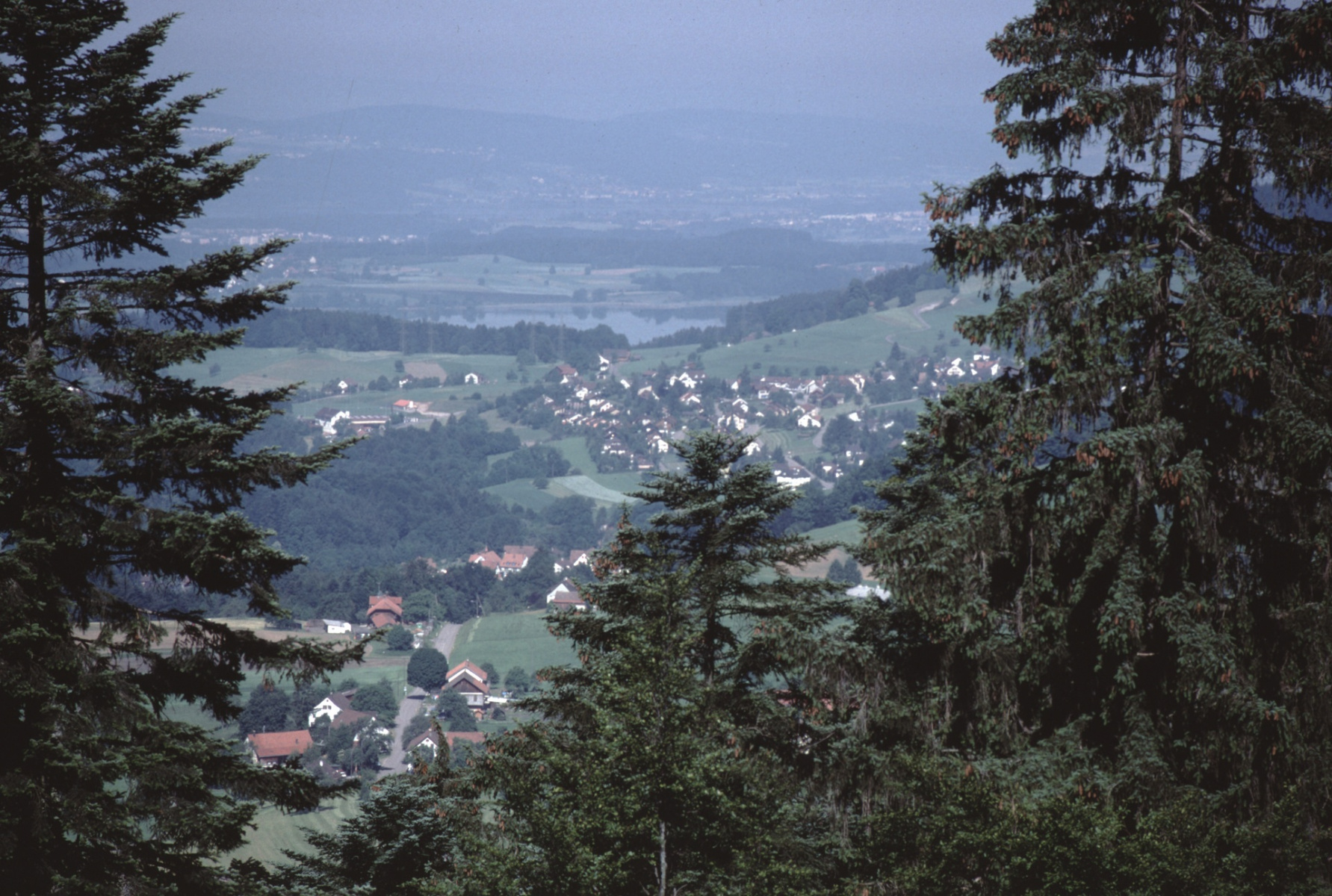 Blick vom Berghof Rtg Bettswil-Pfäffikersee