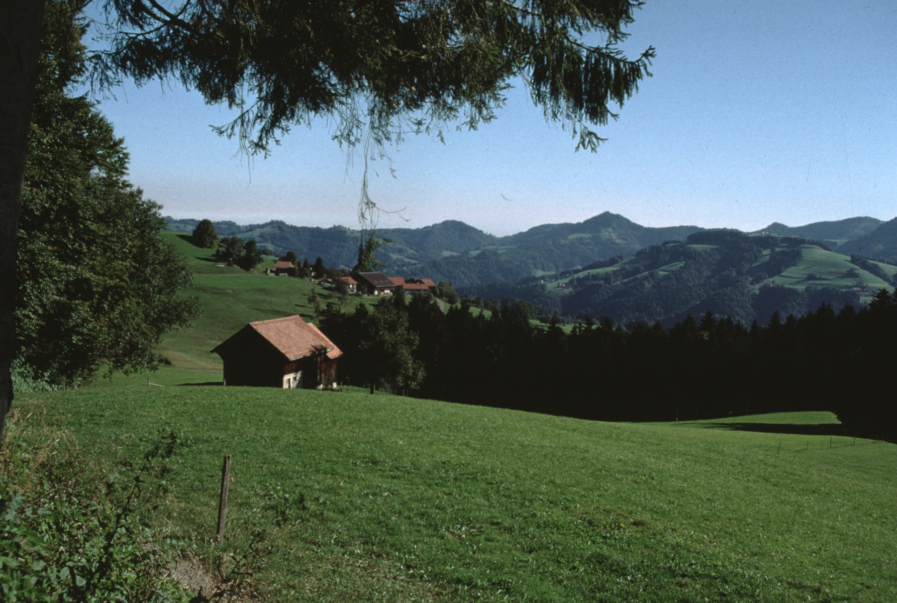 Standpunkt Luegeten-Schürli mit Blick nach Fehrenwaltsberg