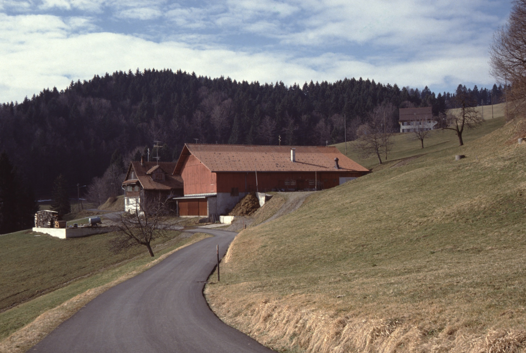 Vorder Sädel (Fam. Litschi), rt.oben Schulhaus Berg