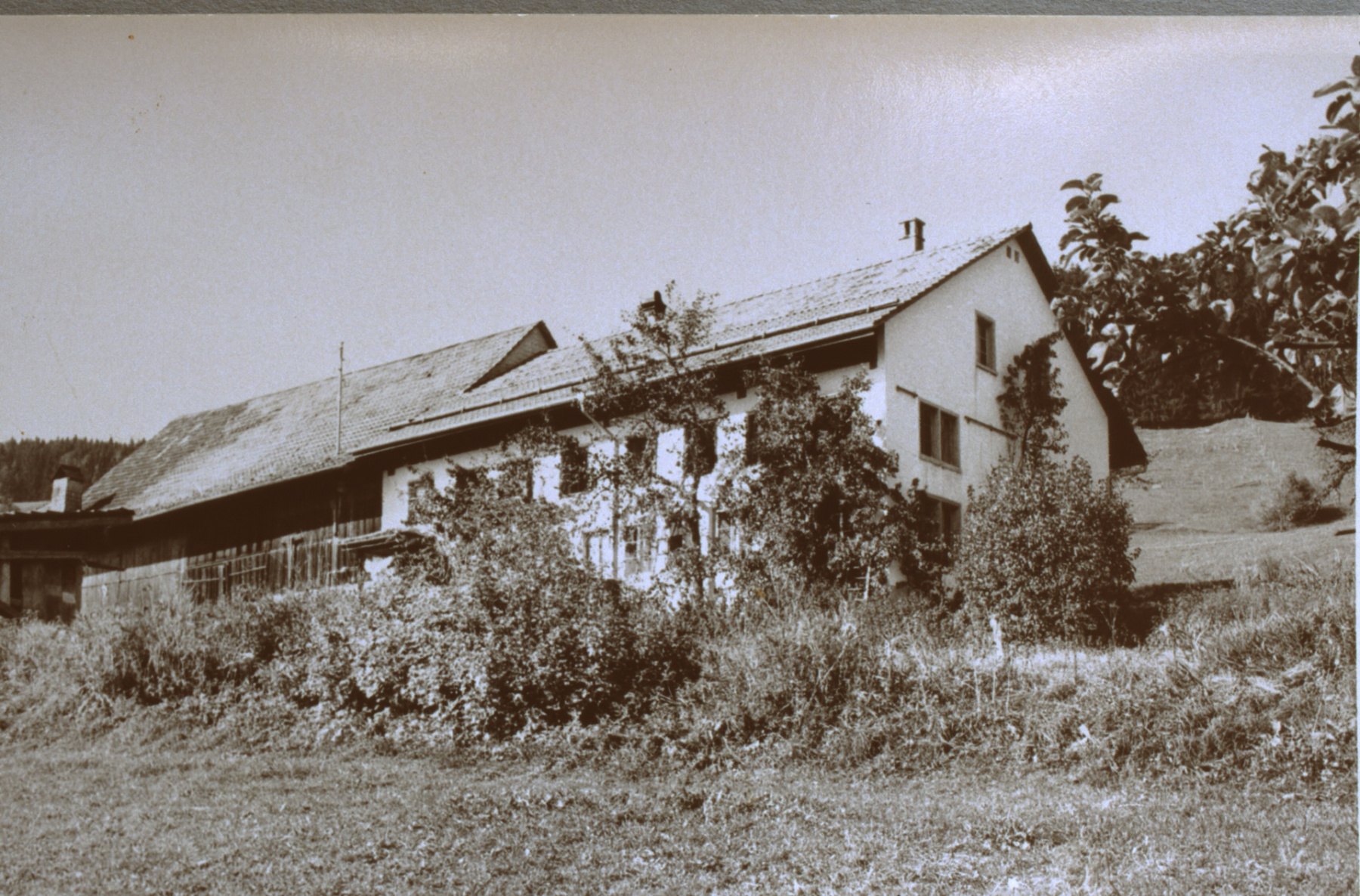 Bauernhaus «Hütten» bei Chli Bäretswil