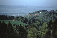 Ghöch Blick, Ghöchweid – Allenberg