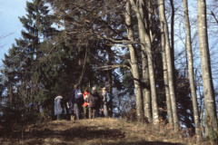 Höchster Pkt. ganz auf Gde.-Geb. 1064.4m
