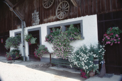 Ghöch Haus Geschwister Bieri