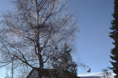 Ghöch ‚gefrorener Baum‘