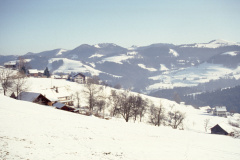 Blick auf Haberacher, Fehrenwaltsberg (darüber) und Schulhaus (rechts unten)