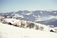 Blick auf Haberacher - Schulhaus - Fehrenwaltsberg