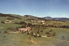 Lee - Chlibäretswil - Fehrenwaldsberg - Baschlis Gipfel - Hörnli