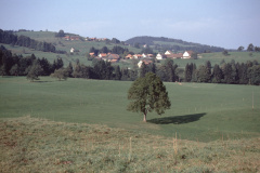 vom Lee aus, Chlibäretswil - Fehrenwaldsberg