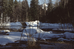 Hellweiher b. Seelisberg (Gubel - Chlibäretswil)