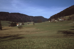 Laubenfelsen (rechts), Blick Rtg. Bussental
