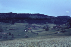 Laubenfelsen, Blick Ritg. Bussental