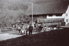 Holzfuhrwerk beim Haus Gredig